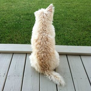 Meet your Posher, Beverly